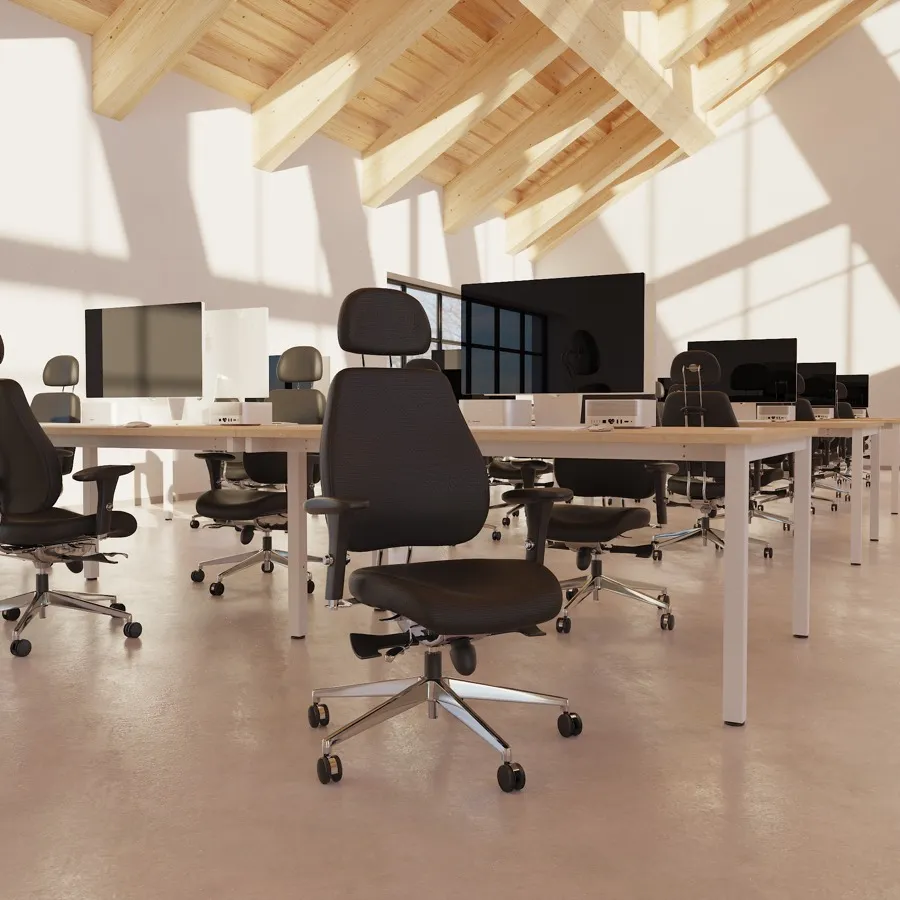 Ergonomic & Posture Chairs