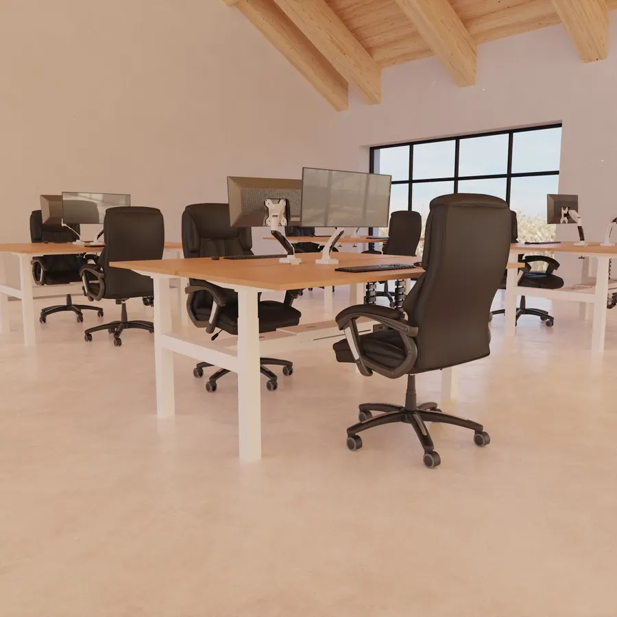 Back-to-Back Sit-Stand Desks