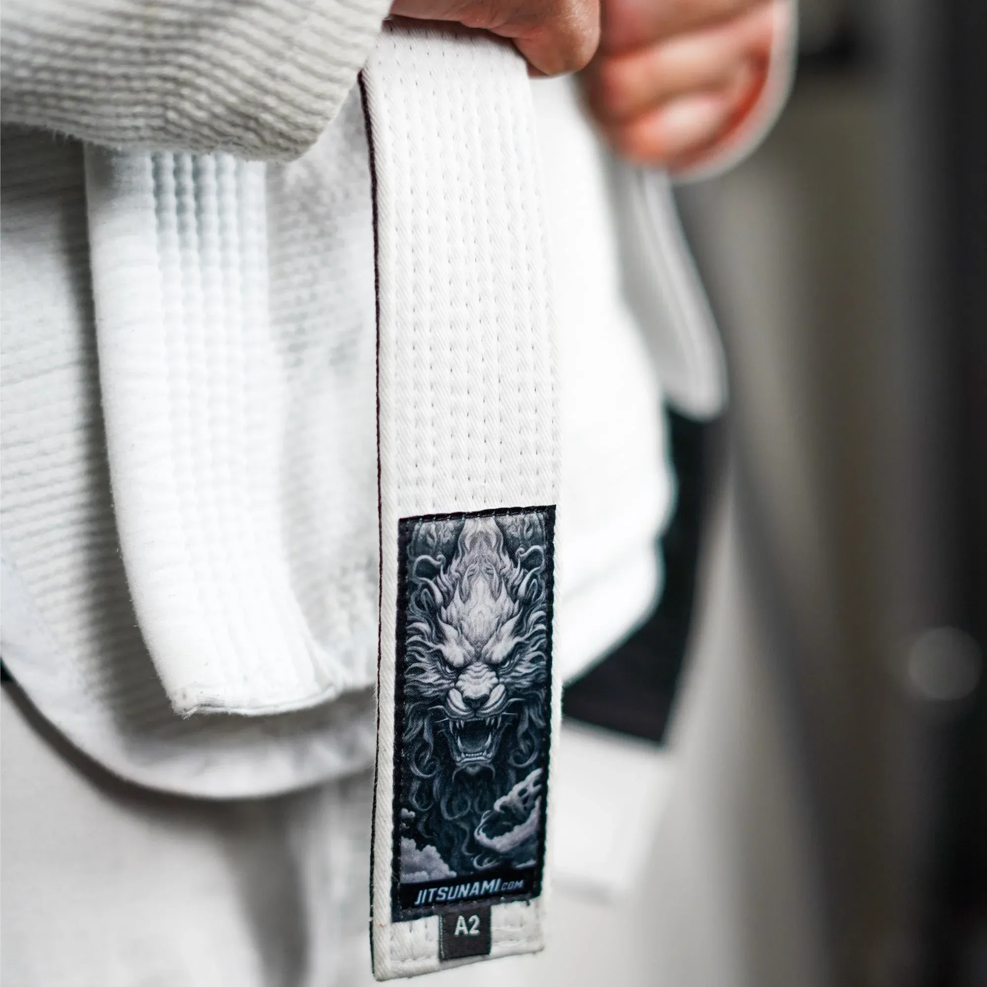 Jiu-Jitsu White Belt: Komainu
