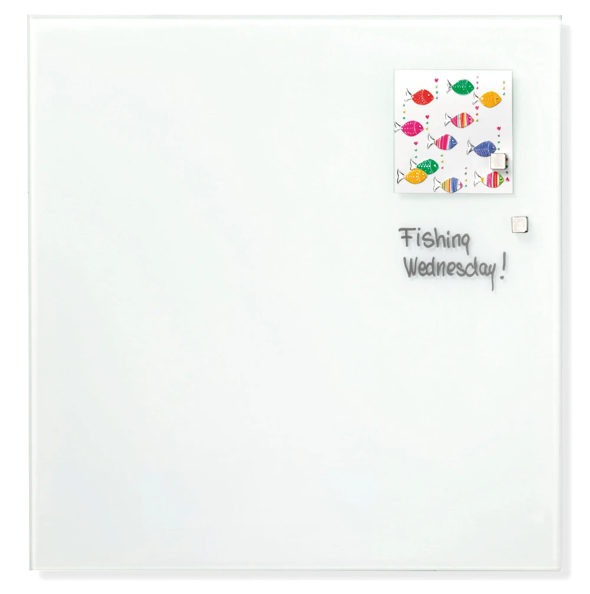 Magnetic Glass Board