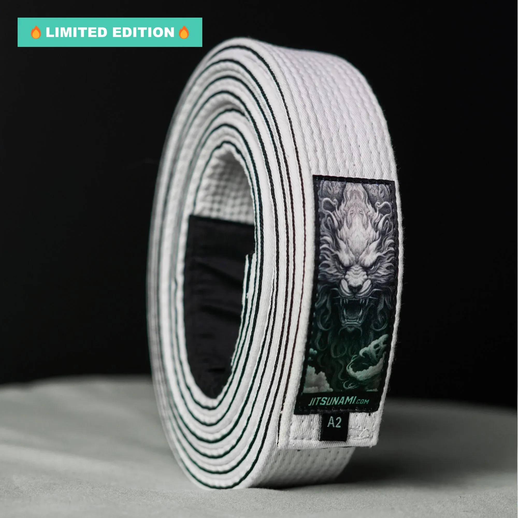 Jiu-Jitsu White Belt: Komainu