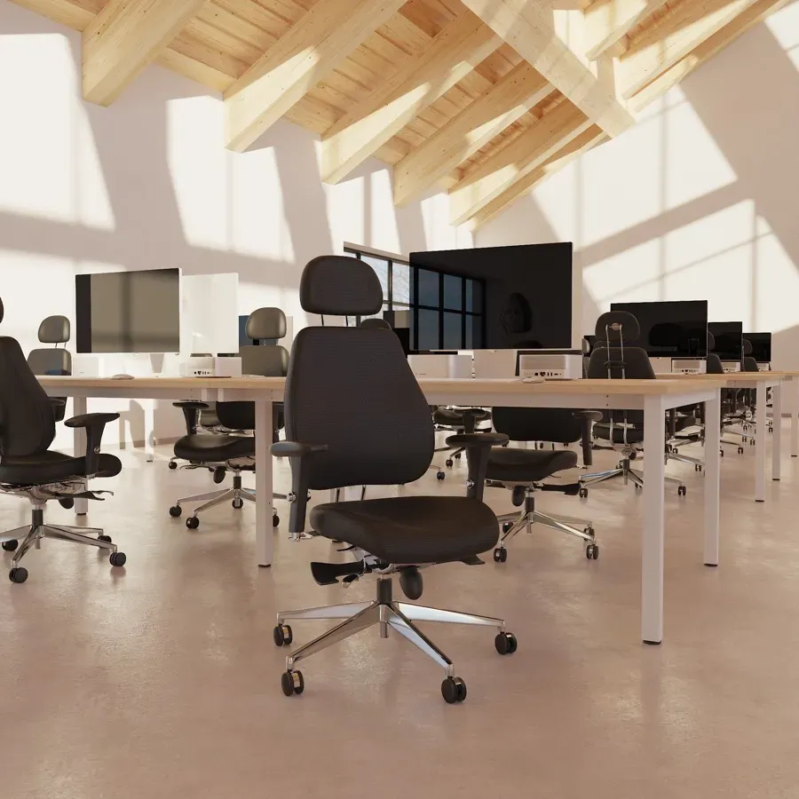 Ergonomic & Posture Chairs