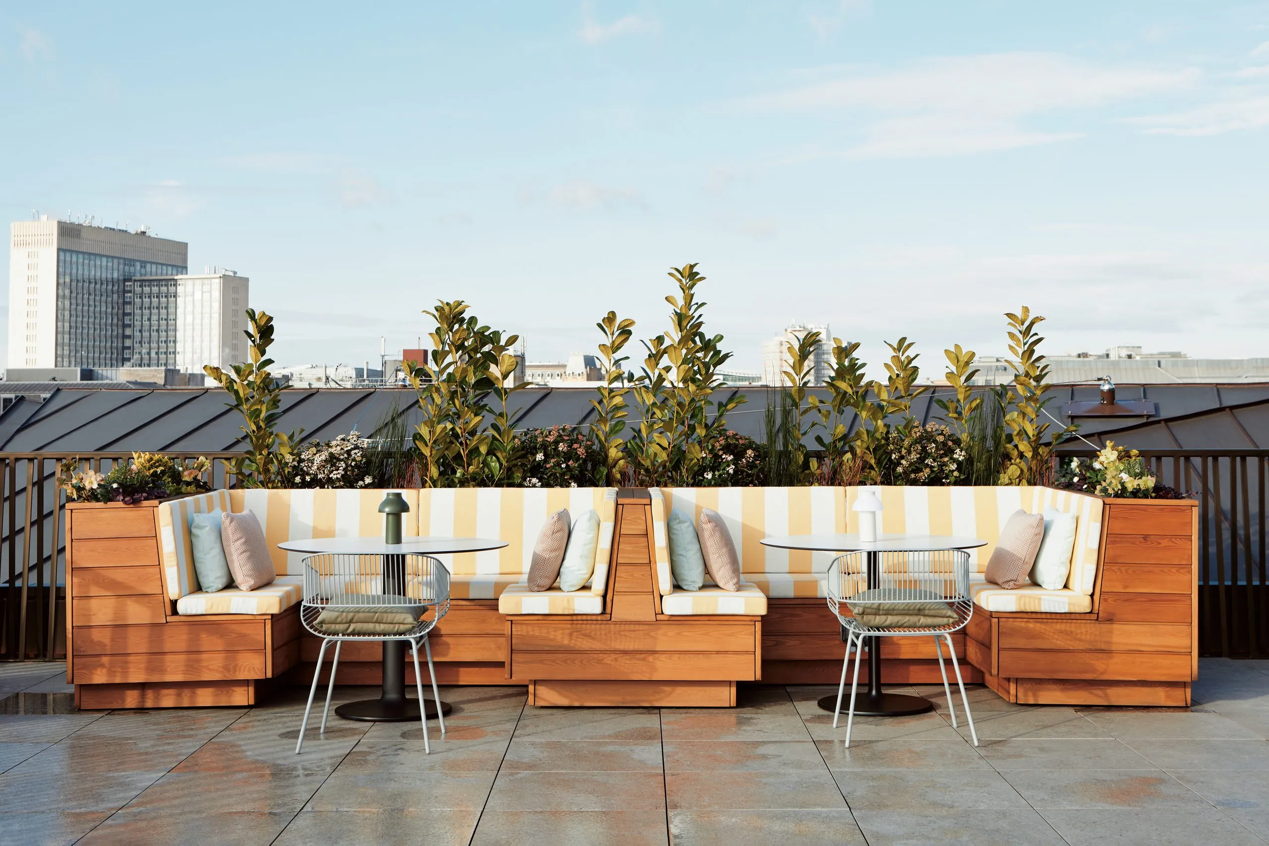 Roof terrace with built-in timber seating and planting