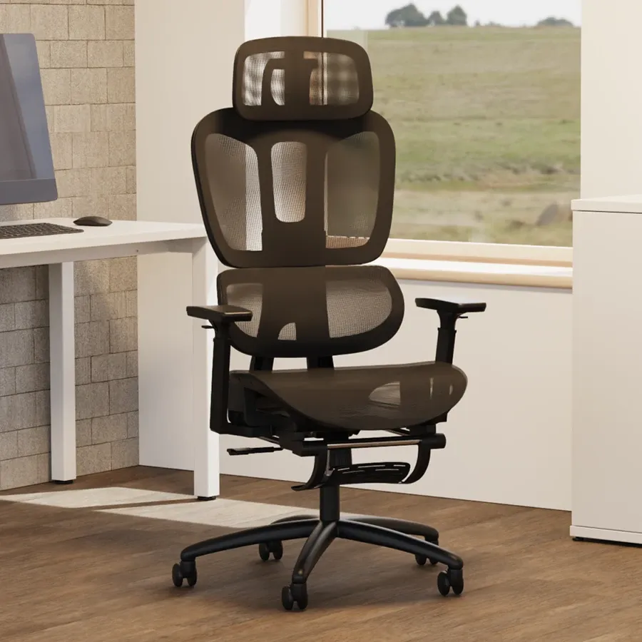 Posture Chairs