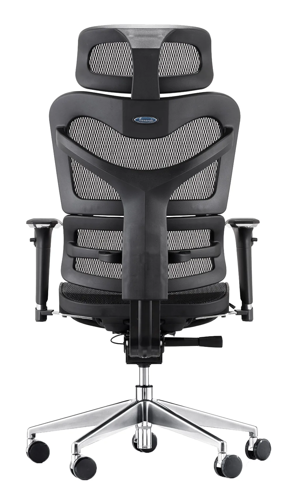 Delia Mesh Ergonomic Chair