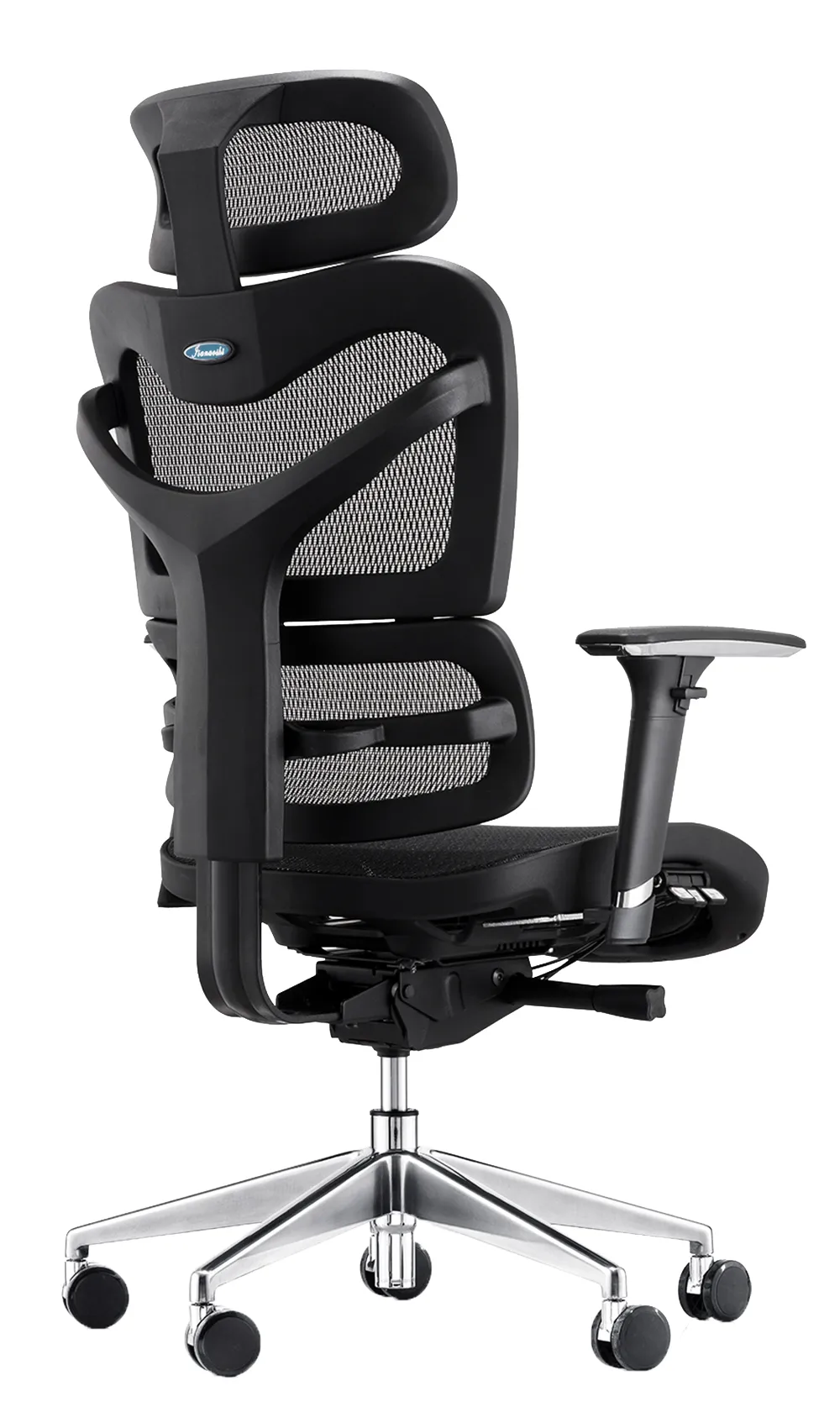 Delia Mesh Ergonomic Chair