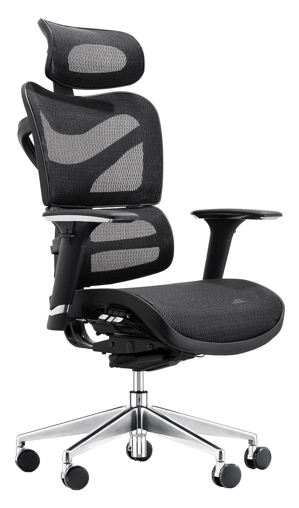 Delia Mesh Ergonomic Chair