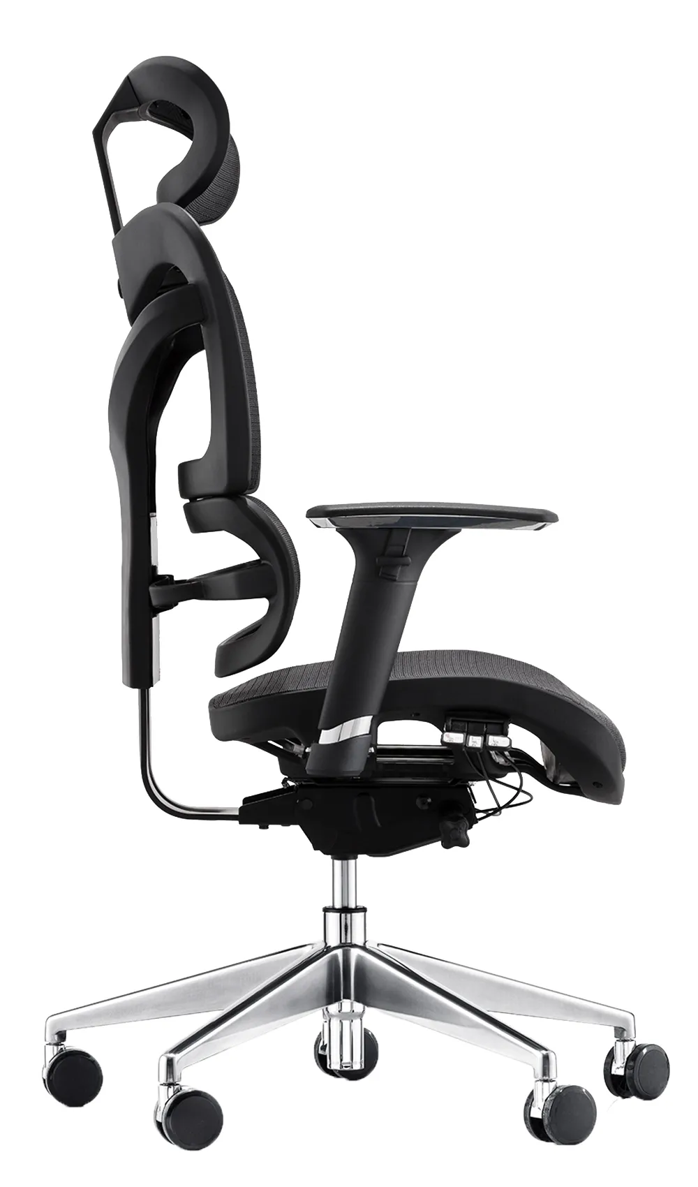 Delia Mesh Ergonomic Chair