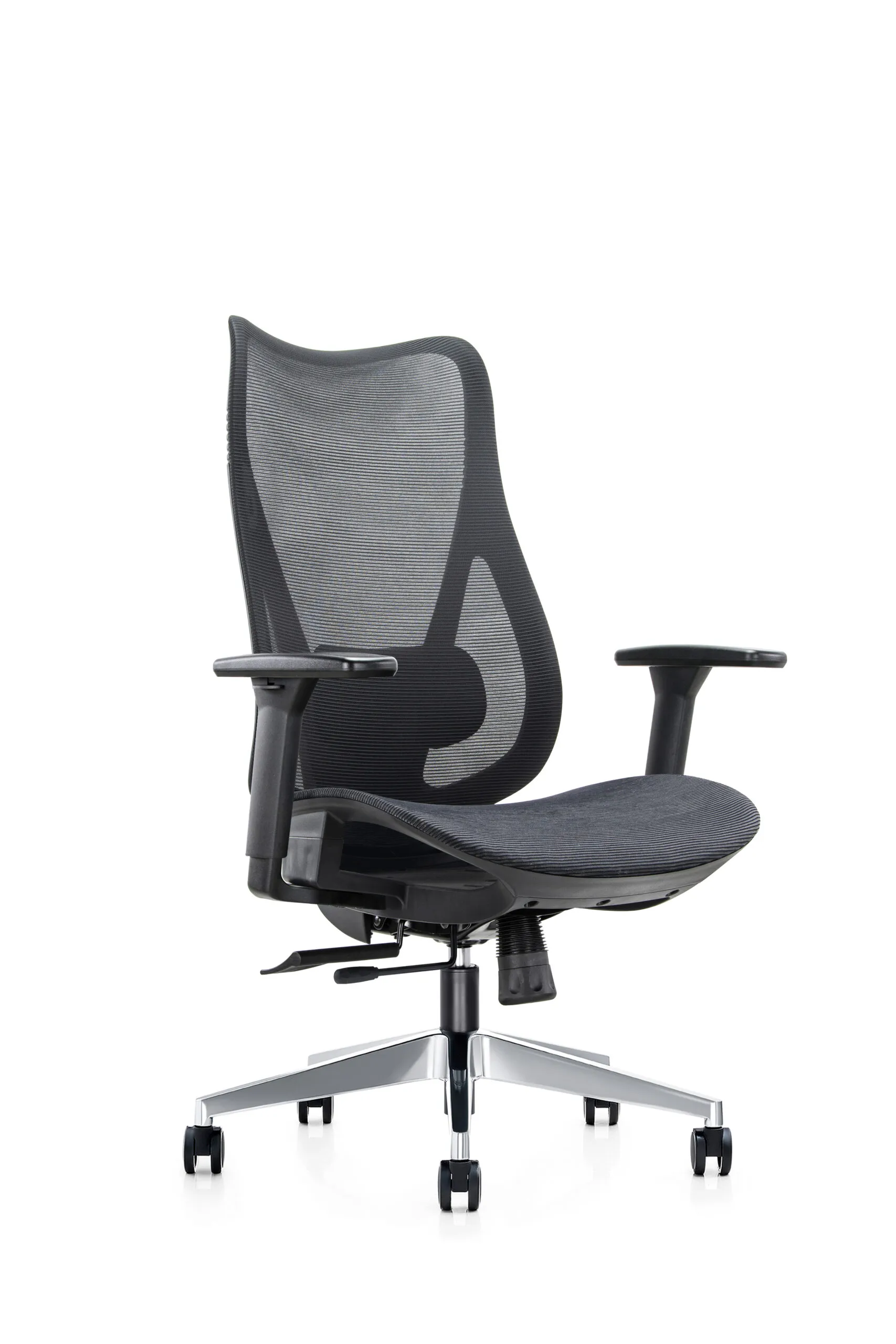 Mala High Back Mesh Ergonomic Chair, High Back, Chromed Steel Base