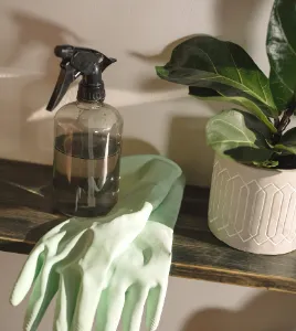 Cleaning image
