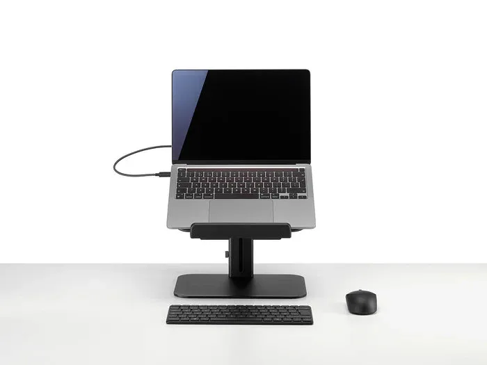 Colebrook Bosson Saunders Lana Laptop Stand