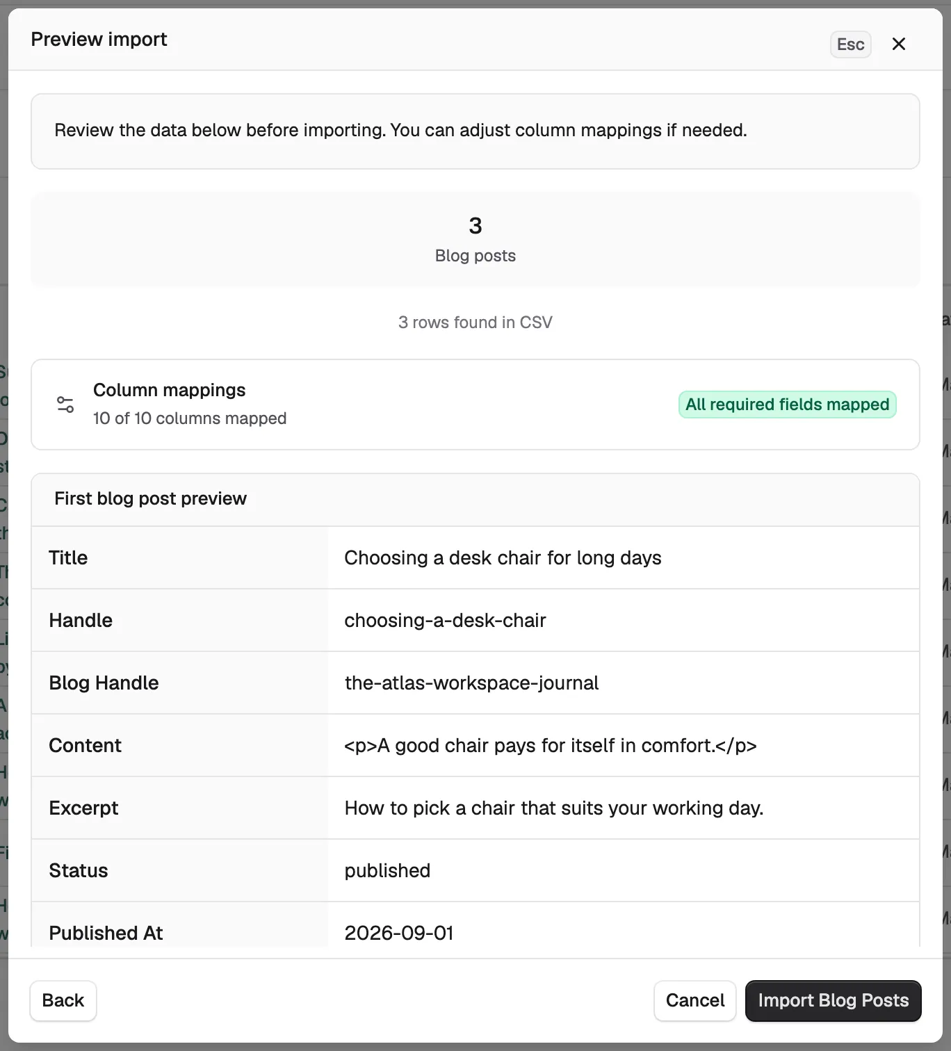 The Preview import step showing the column mappings badge and the first blog post preview.
