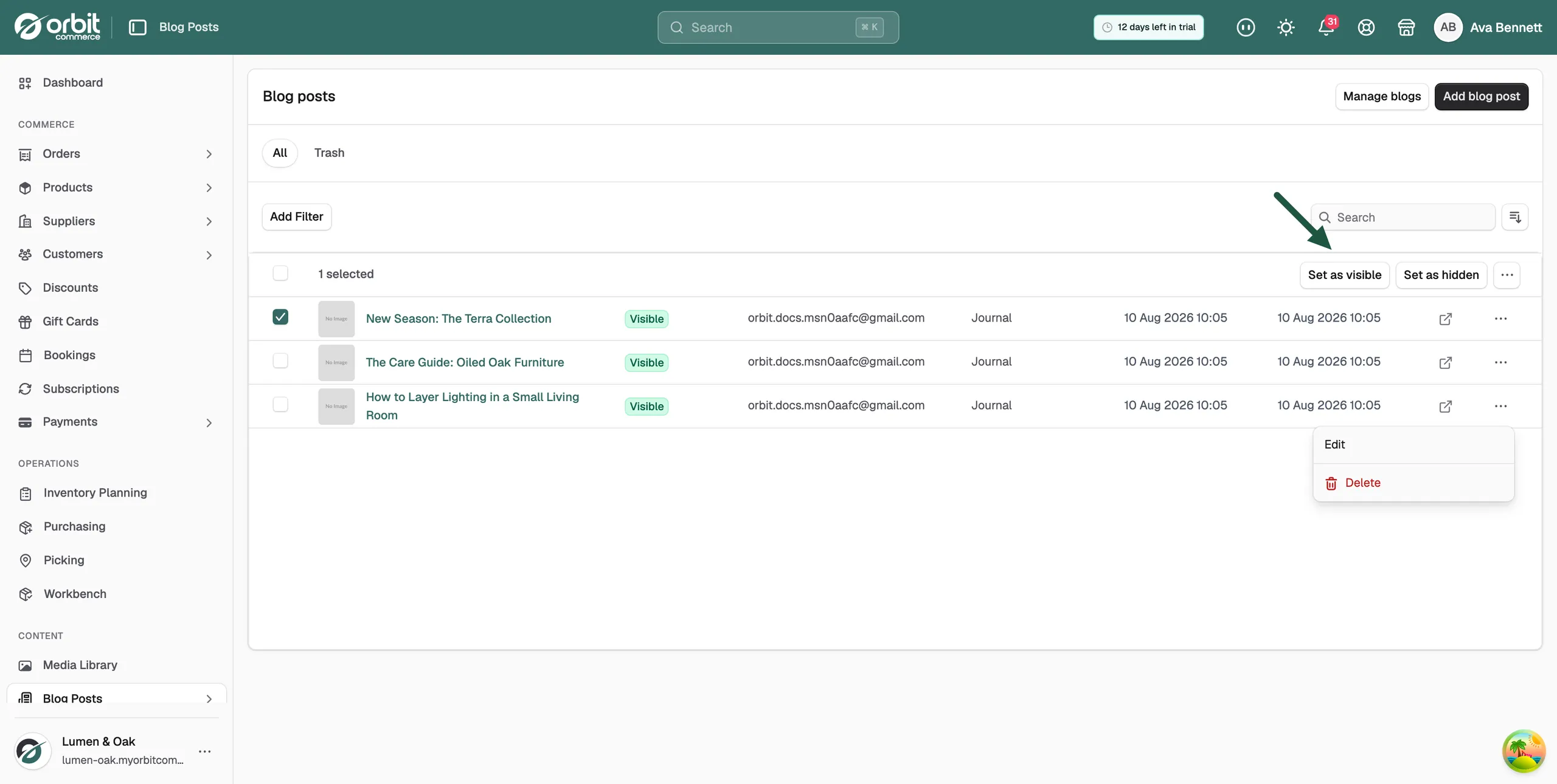 The blog posts list with rows ticked, showing the bulk actions Set as visible, Set as hidden and Delete posts