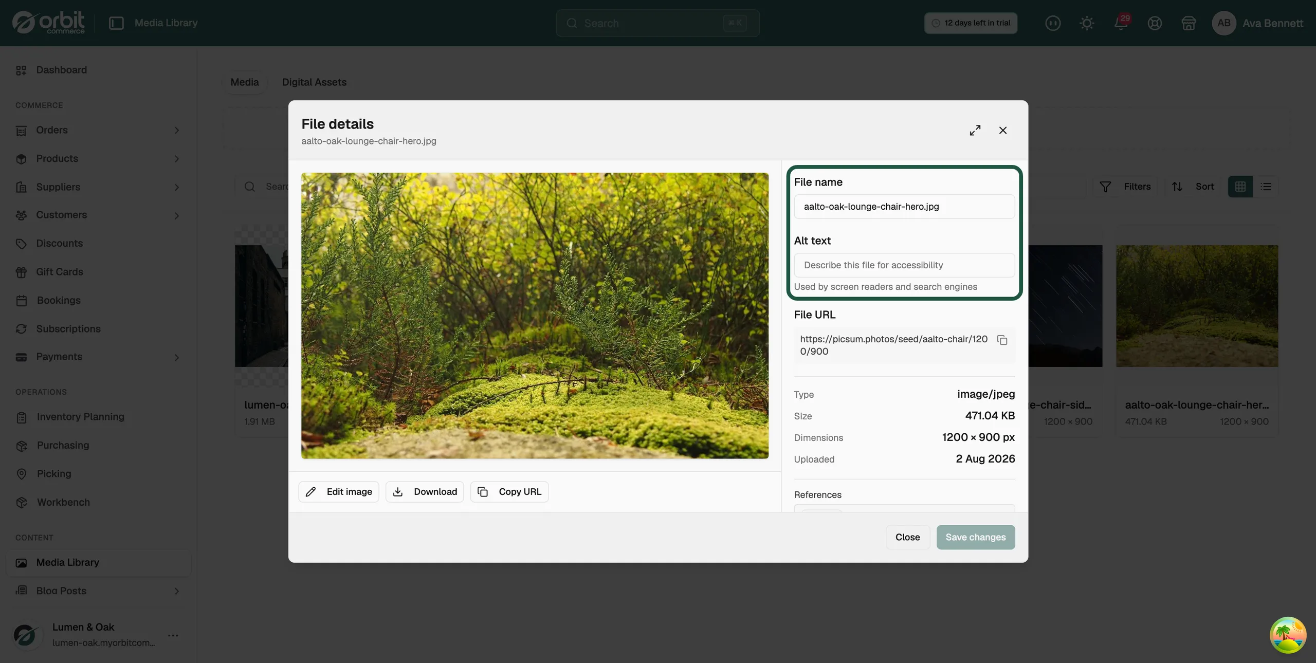 A file open in the Media Library, showing the File Name field above the image preview