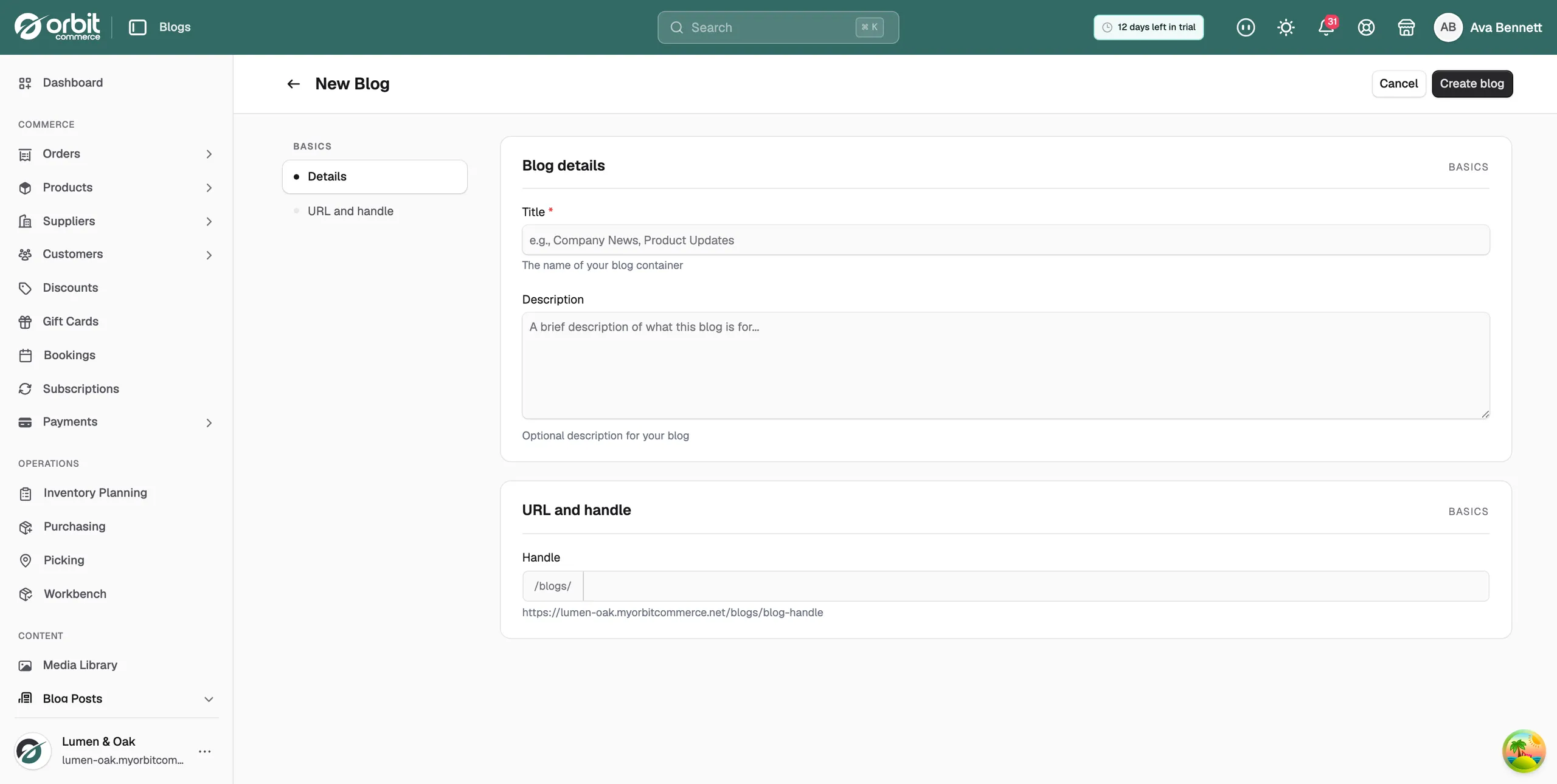 The new blog form, showing the Title, Description and Handle fields