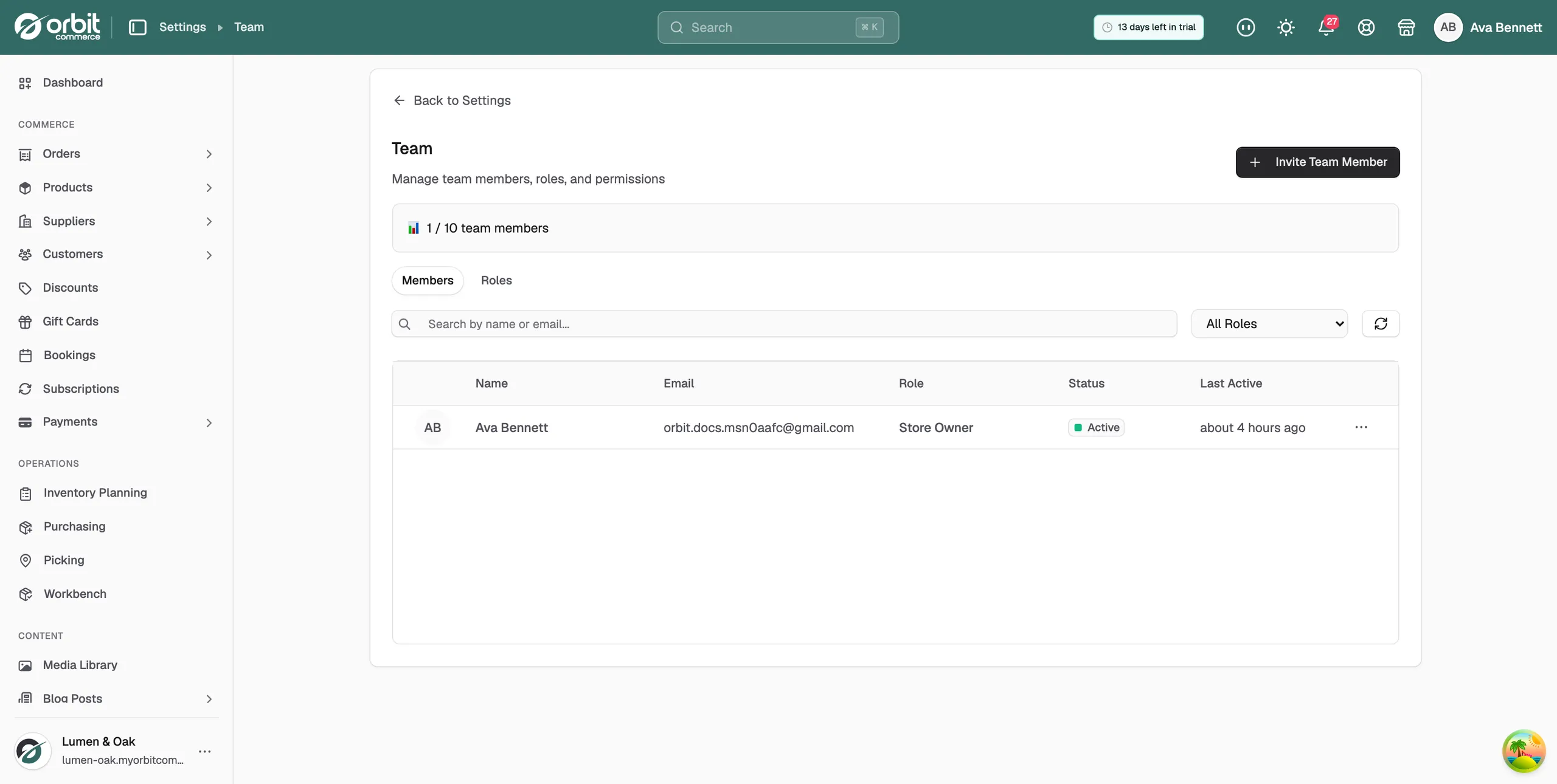 The Team page, showing the team member count, the Members and Roles tabs and the Invite Team Member button