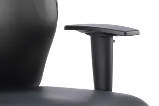 Onyx High Back Ergonomic Posture Chair with Height Adjustable Arms