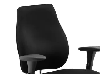 Chiro Plus High Back Ergonomic Posture Chair with Arms
