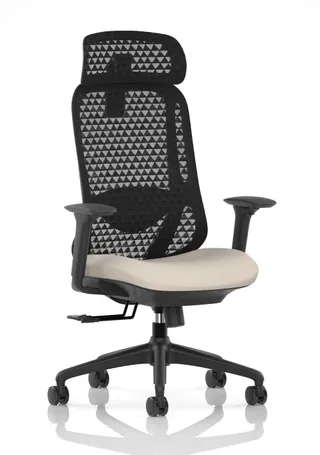 Prism Ergonomic Mesh Back Office Chair with Adjustable Arms