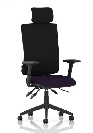 Orlena High Back Ergonomic Task Operator Office Chair