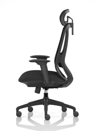 Prism Ergonomic Mesh Back Office Chair with Adjustable Arms