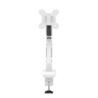 Quick Release Monitor Arms