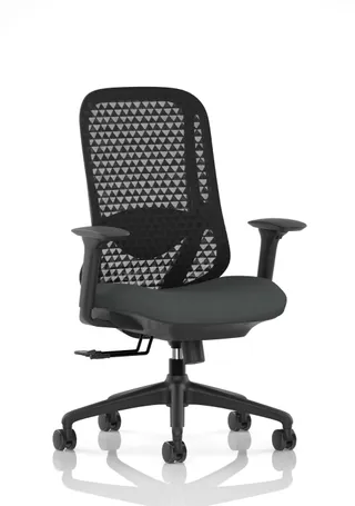 Prism Ergonomic Mesh Back Office Chair with Adjustable Arms