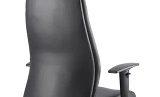 Onyx High Back Ergonomic Posture Chair with Height Adjustable Arms