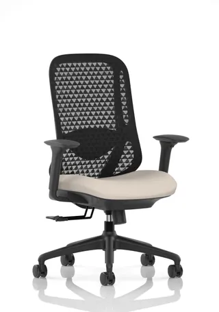 Prism Ergonomic Mesh Back Office Chair with Adjustable Arms