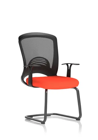 EE - Astro Visitor Cantilever Leg Mesh Chair