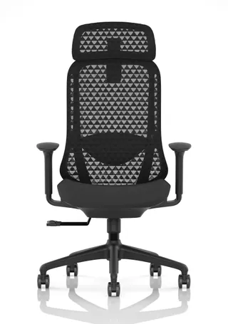 Prism Ergonomic Mesh Back Office Chair with Adjustable Arms