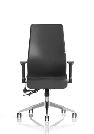 Onyx High Back Ergonomic Posture Chair with Height Adjustable Arms