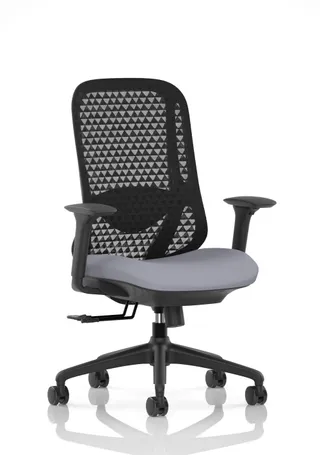 Prism Ergonomic Mesh Back Office Chair with Adjustable Arms