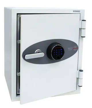Phoenix Datacare Data Safe