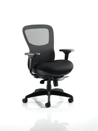 Stealth Shadow High Mesh Back Ergonomic Posture Chair with Arms