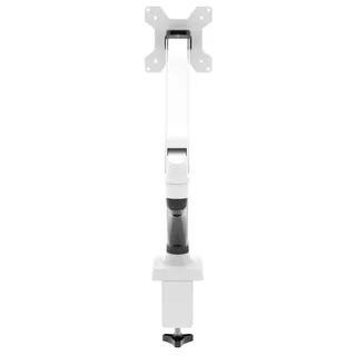 Quick Release Monitor Arms