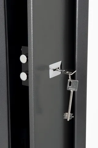 Phoenix Lacerta Gun Safe