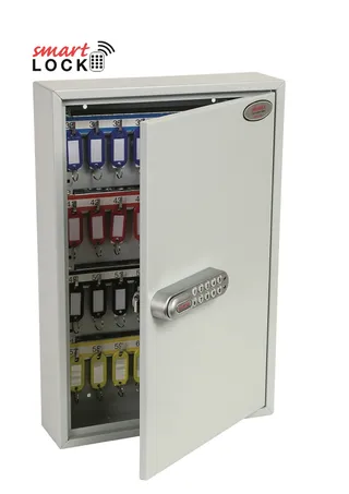 Phoenix Commercial Key Cabinet