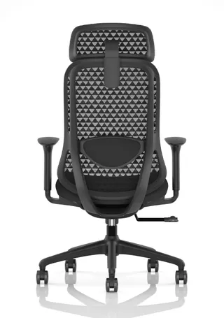Prism Ergonomic Mesh Back Office Chair with Adjustable Arms