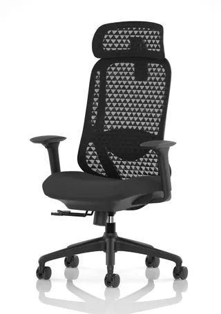 Prism Ergonomic Mesh Back Office Chair with Adjustable Arms