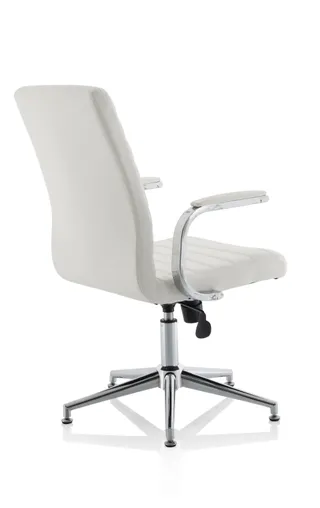 Ezra Medium Back Leather Executive Office Chair with Arms