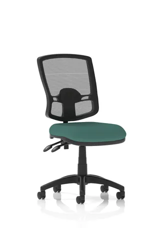 Eclipse Plus II Deluxe Mesh Back Task Operator Office Chair