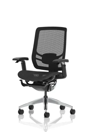 Ergo Click High Back Ergonomic Posture Office Chair with Arms