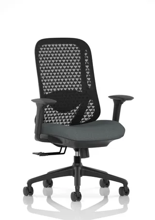 Prism Ergonomic Mesh Back Office Chair with Adjustable Arms