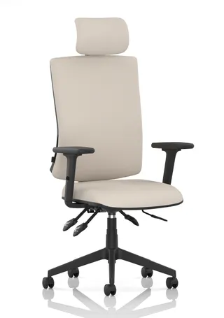 Orlena High Back Ergonomic Task Operator Office Chair