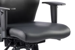 Onyx High Back Ergonomic Posture Chair with Height Adjustable Arms