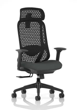 Prism Ergonomic Mesh Back Office Chair with Adjustable Arms