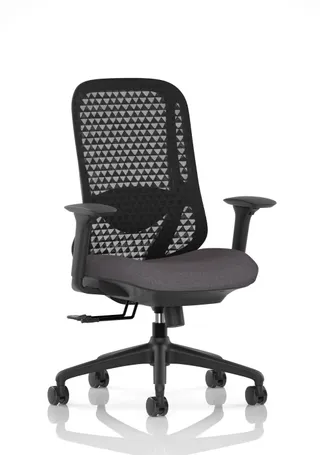 Prism Ergonomic Mesh Back Office Chair with Adjustable Arms