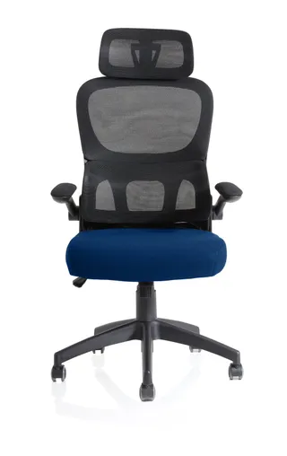 Iris Task Operator Mesh Back Fabric Seat With Headrest