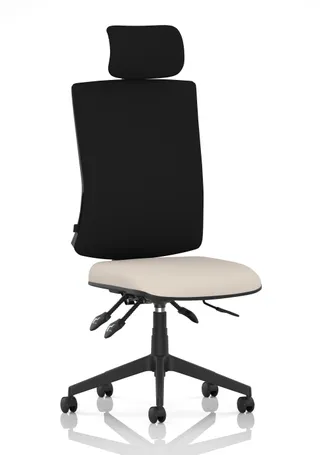 Orlena High Back Ergonomic Task Operator Office Chair